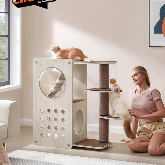 4 FEANDREA 39.4'' CAT TREES